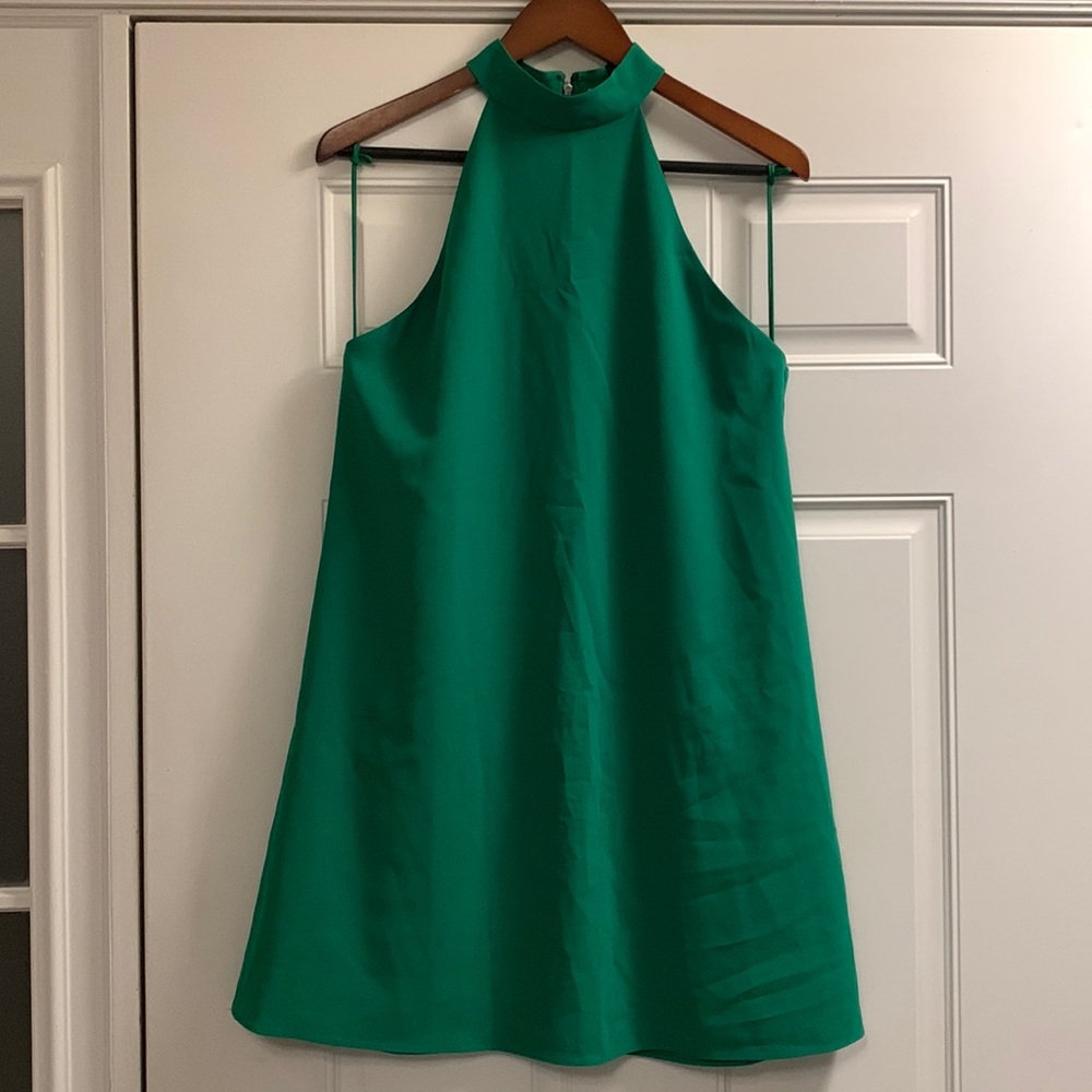 Alice and Olivia Green Evening Dress